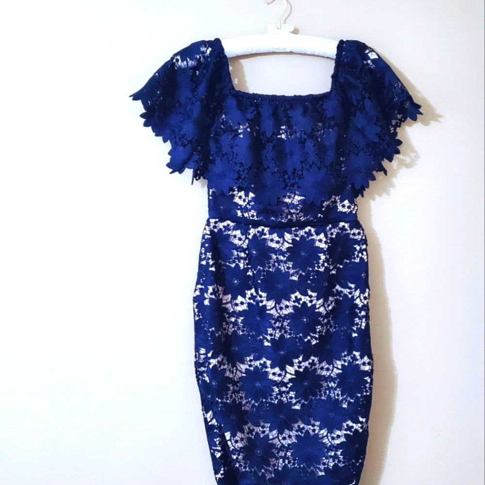 COAST Pencil lace dress